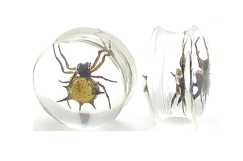 Painful Pleasures Spider - Real Spider Inside Acrylic Plug - 16mm-24mm - Price Per 1-24mm ~ 15/16"