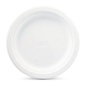 Chinet Classic White, Round All Occasion Fiber Plates, 8.75 Inch, 100 Count