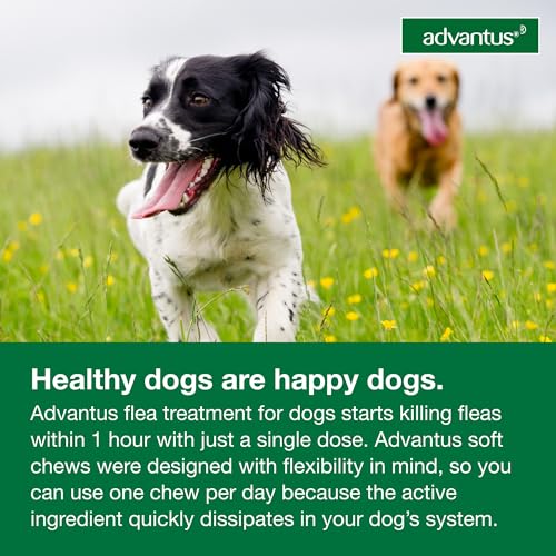 Advantus Dog Advantus Chewable Flea Treatment for Dogs 23 - 110 lbs. | 7 ct.