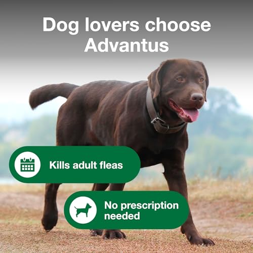 Advantus Dog Advantus Chewable Flea Treatment for Dogs 23 - 110 lbs. | 7 ct.