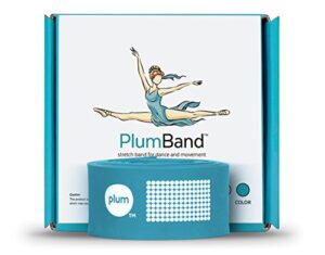 the plumband stretch band for dance and ballet – colors and sizes for kids & adults – improve your splits, strength, and flexibility with stretching (sky blue, regular)