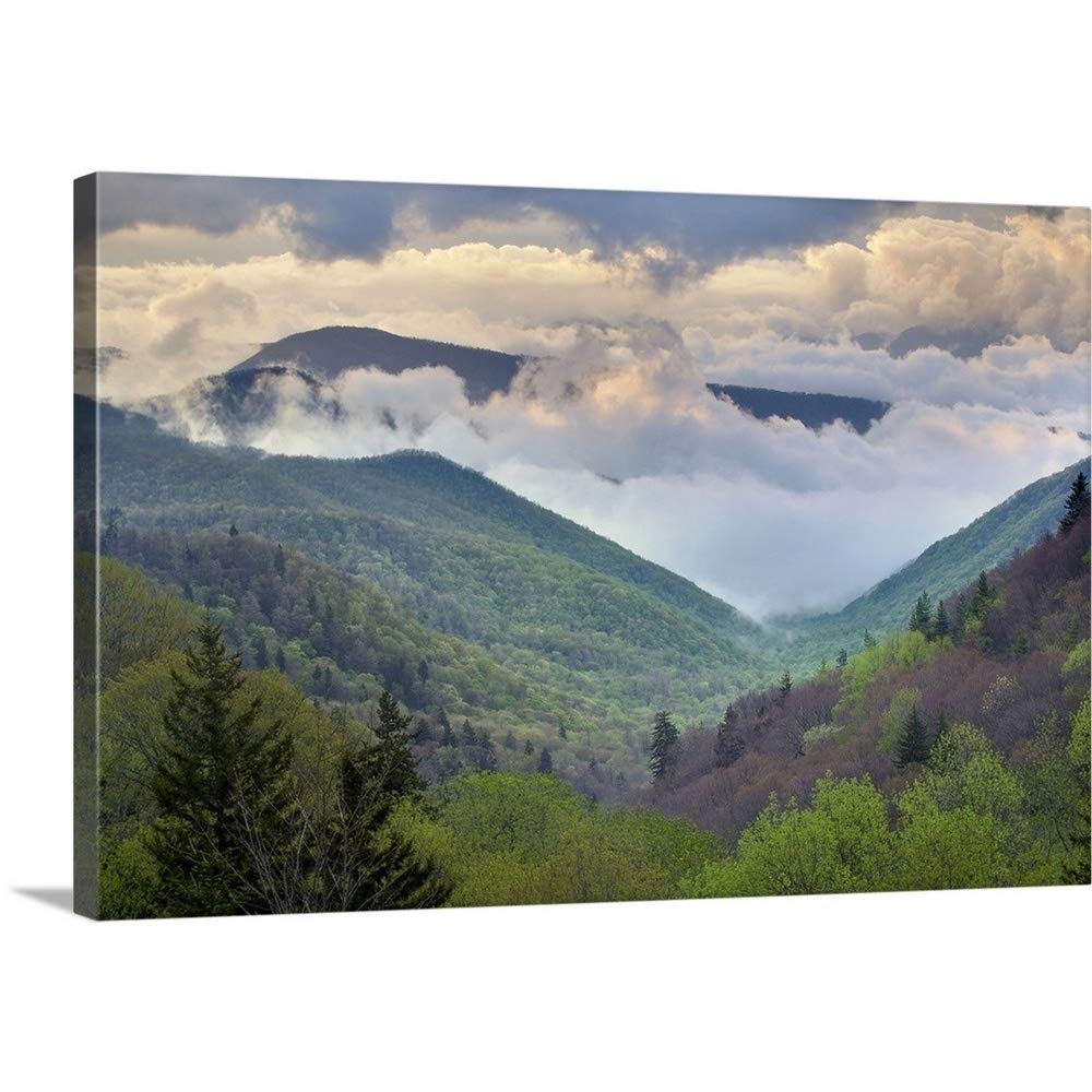 CANVAS ON DEMAND Great Smoky Mountains National Park, North Carolina Canvas Wall Art Print by Adam Jones, Home Decor, United States Artwork, 36"x24"