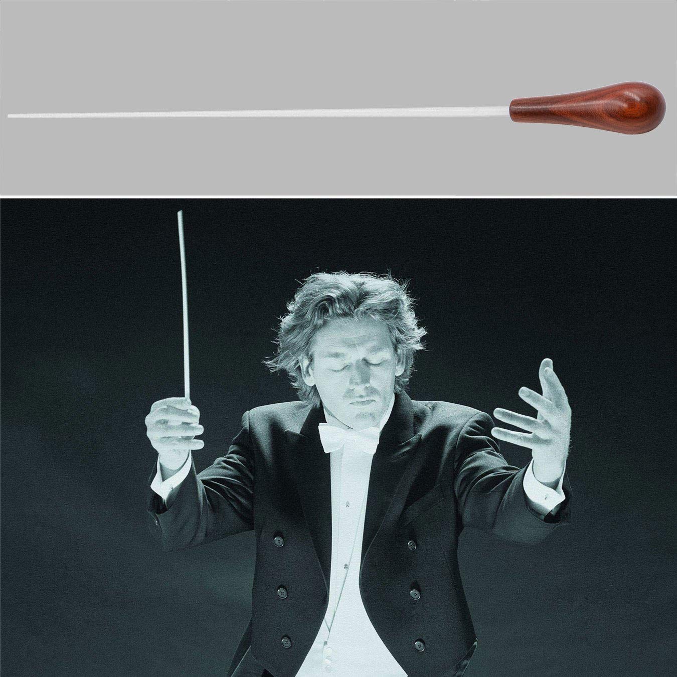 Music Baton Conducting Baton Orchestra Baton wood Handle (Rosewood Handle)