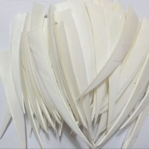 JIEXI HWYP Archery Fletches 5" Turkey Feather Shielded Shape Pack of 100 (White, Left Wing)