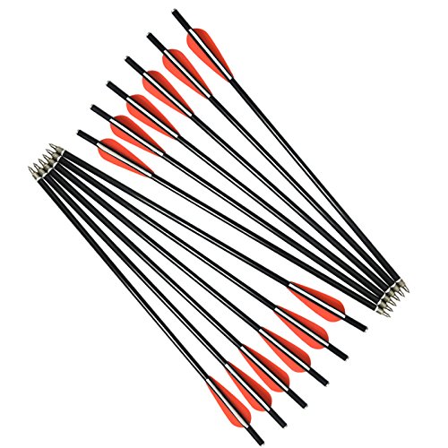 NIKA ARCHERY 12X 16 Crossbow Bolts Fiberglass Arrows with Flat Nock for Outdoor Hunting