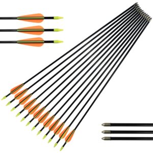 NIKA ARCHERY Fiberglass Arrows for Youth Practise Recurvebow Compound Bow Shooting 12X 26 inch