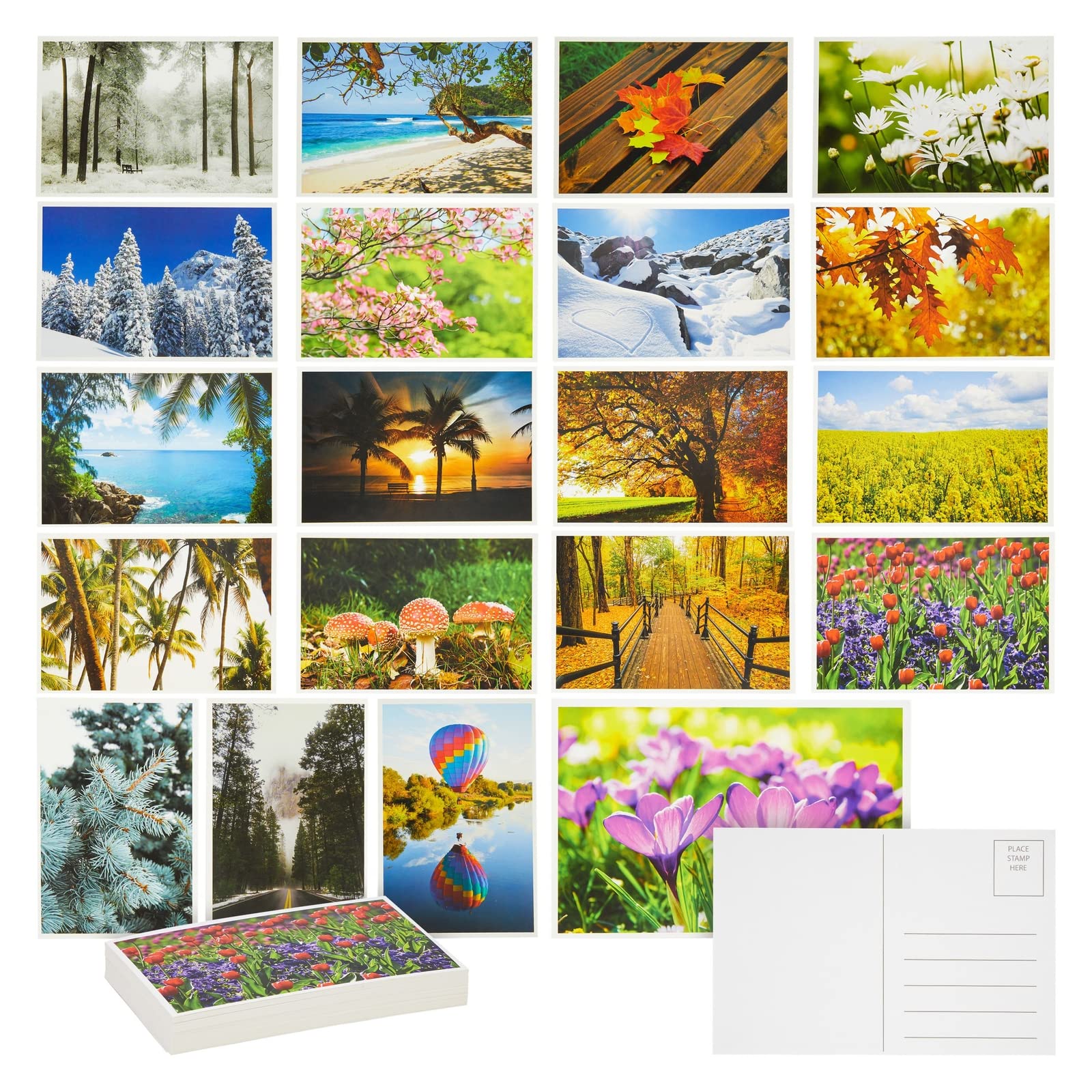 Best Paper Greetings 40 Pack Nature Postcards Bulk, Blank Travel Cards for Mailing, 20 Assorted Scenic Photos, Four Seasons (4x6 In)