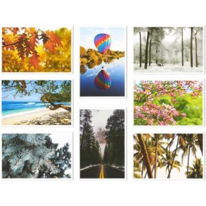 Best Paper Greetings 40 Pack Nature Postcards Bulk, Blank Travel Cards for Mailing, 20 Assorted Scenic Photos, Four Seasons (4x6 In)