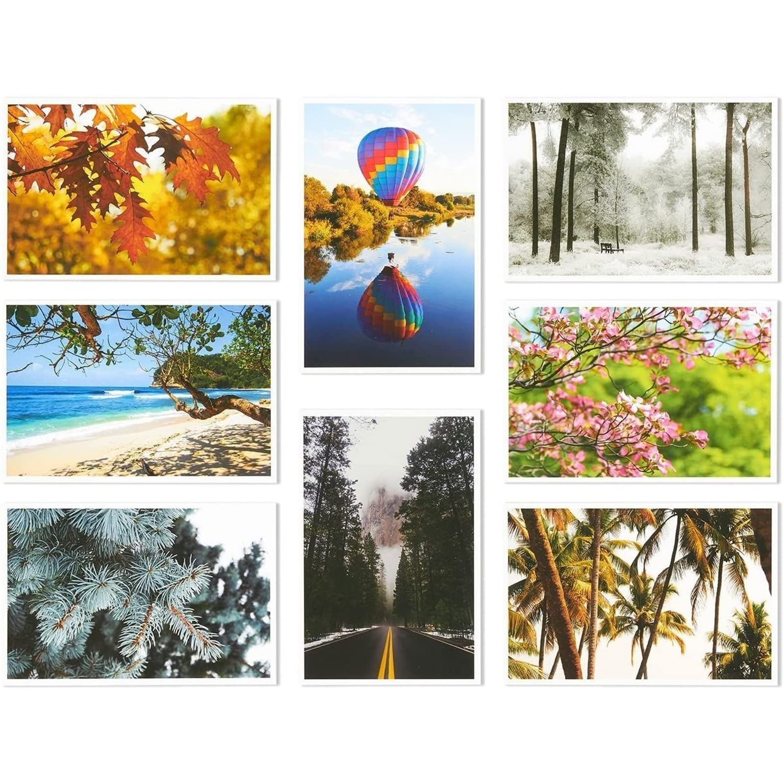 Best Paper Greetings 40 Pack Nature Postcards Bulk, Blank Travel Cards for Mailing, 20 Assorted Scenic Photos, Four Seasons (4x6 In)