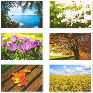 Best Paper Greetings 40 Pack Nature Postcards Bulk, Blank Travel Cards for Mailing, 20 Assorted Scenic Photos, Four Seasons (4x6 In)