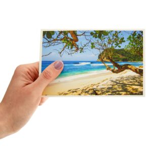 Best Paper Greetings 40 Pack Nature Postcards Bulk, Blank Travel Cards for Mailing, 20 Assorted Scenic Photos, Four Seasons (4x6 In)