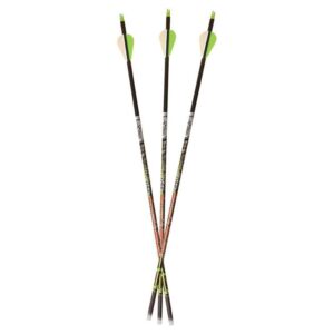 Carbon Express 50888 Adrenaline 350 6-Pk Arrows,Black