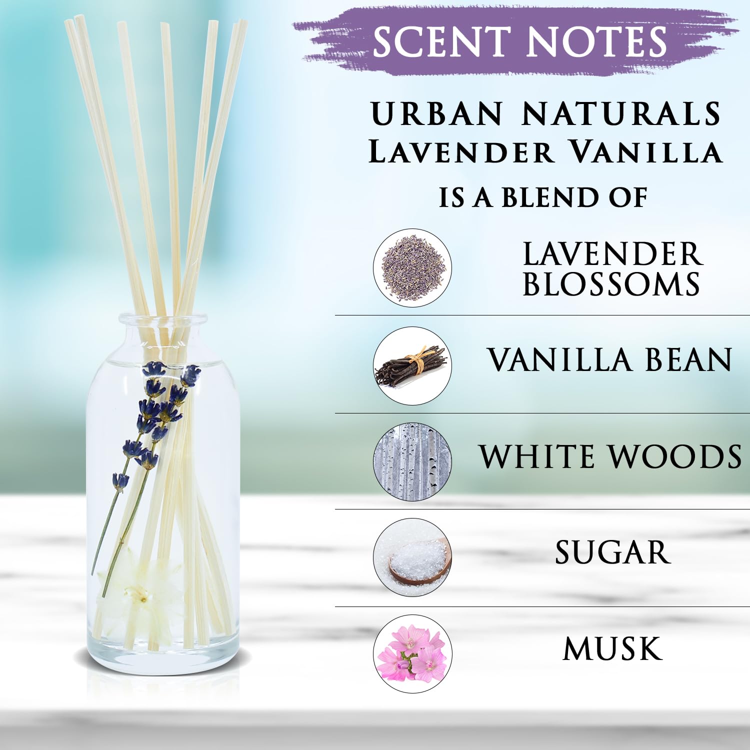 Urban Naturals Lavender Vanilla Reed Diffuser Set | Room Scent Infuser with Real Lavender & Natural Flowers | Soothing Scent Makes a Great Housewarming Gift | Great Idea