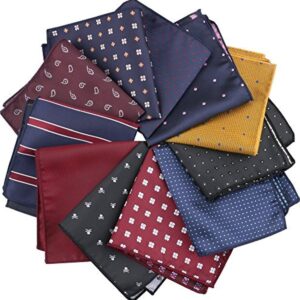 driew 11 Pcs Men Suit Pocket Square Handkerchiefs with Assorted Pattern