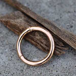 WildKlass Jewelry Rose Gold Hinged Seamless Clicker Ring 316L Surgical Steel (14 GA, Length: 8mm, Rose Gold)