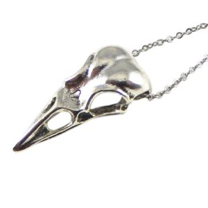 JJG Vintage Antiqued Silver Crow Raven Skull Necklace with Stainless Steel Chain 18' (Raven Skull)