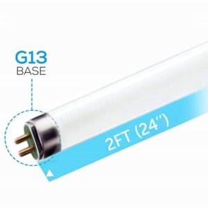 Circle (6 Pack F17T8/841 17W 24 Inch T8 Fluorescent Tube Light Bulb, 4100K Cool White, Medium Bi-Pin (G13) Base, 17 Watt T8 Light Bulbs