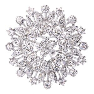 ever faith women's austrian crystal elegant flower leaf bridal corsage brooch pin clear silver-tone