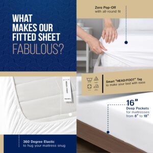 TEXAS LINEN CO. 100% Egyptian Cotton Queen White Sheet Set - 1000 Thread Count 4 PC Cotton Sheets for Queen Bed, Silky Soft, Cooling Extra Long Staple Luxury Hotel Sheets - Fits Upto 18” Deep Pocket