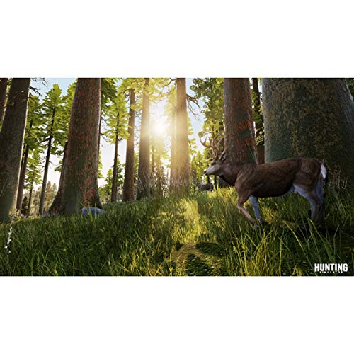 Hunting Simulator - PlayStation 4