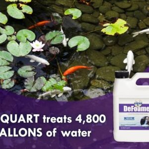 KoiWorx Defoamer - 32oz- Removes Foam from Decorative and Ornamental Ponds, Safe for Koi