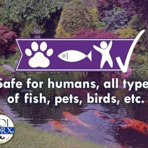 KoiWorx Defoamer - 32oz- Removes Foam from Decorative and Ornamental Ponds, Safe for Koi