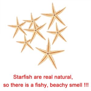 Ogrmar Small Starfish Star Sea Shell Beach Craft 0.4"-1.2" 90 Pcs