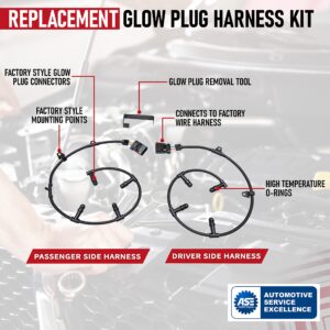 6.0 Powerstroke Glow Plug Harness Kit - Diesel Engine Injector Relay - includes Right, Left Harness, & Removal Tool - Fits Ford F250 Super Duty, F350 & More - 2004, 2005, 2006, 2007, 2008, 2009, 2010