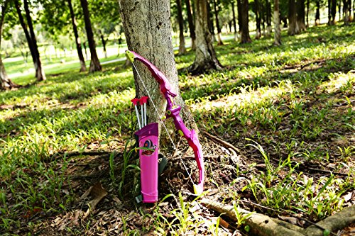 SainSmart Jr. Kids Bow & Arrow Toy, Princess Basic Archery Set Outdoor Hunting Game with 3 Suction Cup Arrows, Target & Quiver, Pink,includes 1 x luminous bow