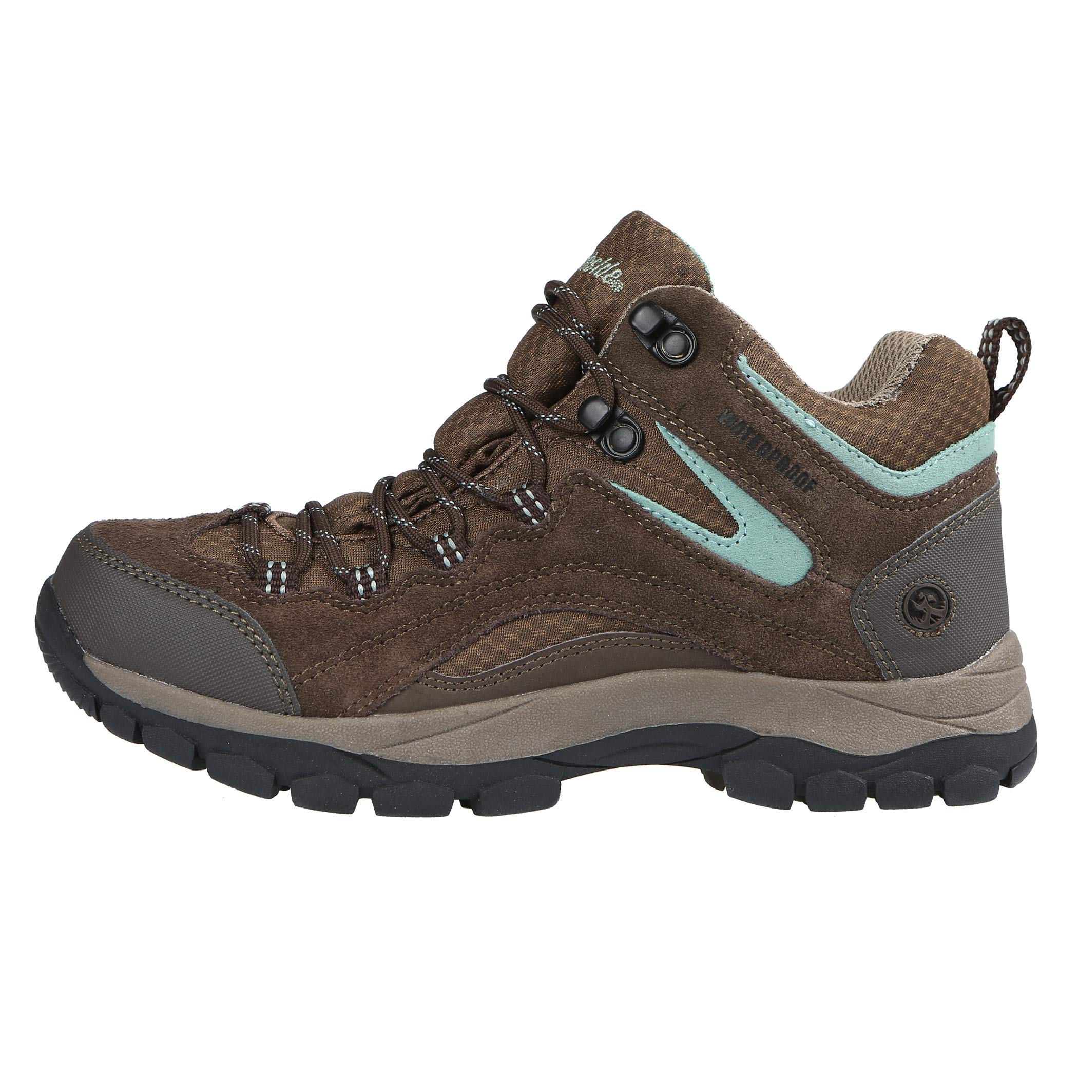 Northside Women's Pioneer Waterproof Hiking Boot, Dark Brown/Sage, 9 Medium US