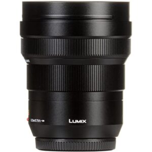 Panasonic LUMIX Professional 8-18mm Camera Lens, G LEICA DG VARIO-ELMARIT, F2.8-4.0 ASPH, Mirrorless Micro Four Thirds, H-E08018 (Black)