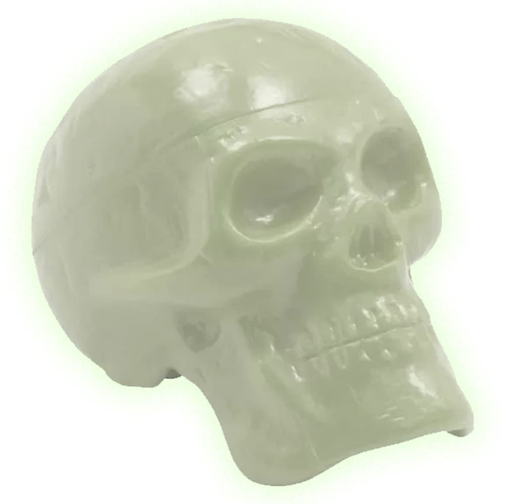 GLOW IN THE DARK SKULL SHAKER