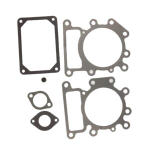 BH-Motor New Valve Gasket Set for 794152 Replaces # 690190 794114 796584 699168 692410