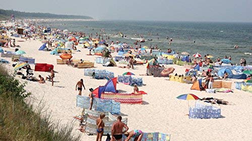 13 ft Beach Windscreen Privacy Windbreak with a Bag and Mallet Made in Europe (Blue/White Stripes)