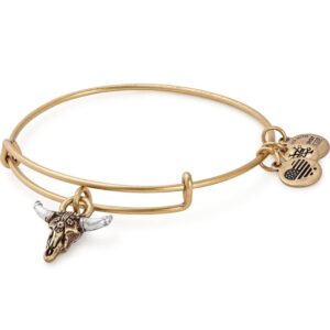 Alex and Ani Symbols and Tokens Expandable Bangle for Women, Spirited Skull Charm, Rafaelian Gold Finish, 2 to 3.5 in