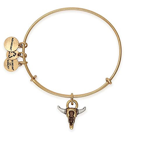 Alex and Ani Symbols and Tokens Expandable Bangle for Women, Spirited Skull Charm, Rafaelian Gold Finish, 2 to 3.5 in