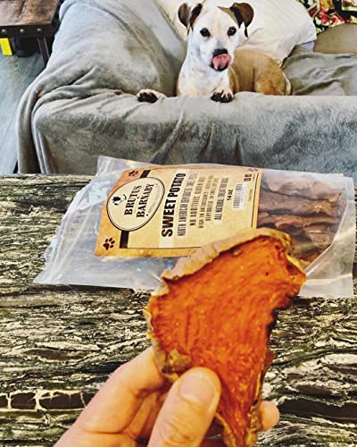 Sweet Potato Slices For Dogs - Single Ingredient Grain Free Dog Treats, Best High Anti-Oxidant Healthy 100% Natural Thick Cut Dried Sweet Potato Dog Treats With No Added Preservatives (2lb)