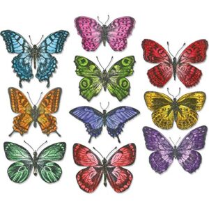 sizzix die set , flutter by tim holtz, 20 pack, multi color, one size framelits, multicolor