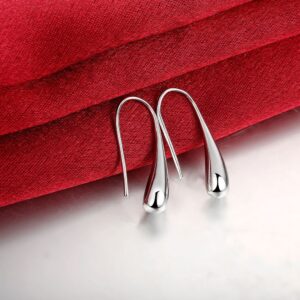 Women Fashion Teardrop Back Earrings,Small Sterling Sliver Plated Classic Dangle Hoop Earring Thread Drop Earrings