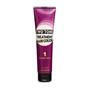 etude house two tone treatment hair color 150ml (#01 mystery purple)