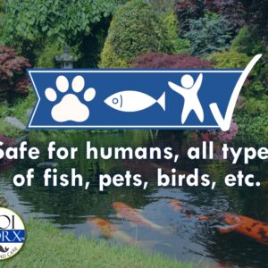 Sanco Industries KoiWorx Blue Dye - Ornamental and Decorative Pond Dye, Water Features and Fountains, Safe for Koi - 1 Quart