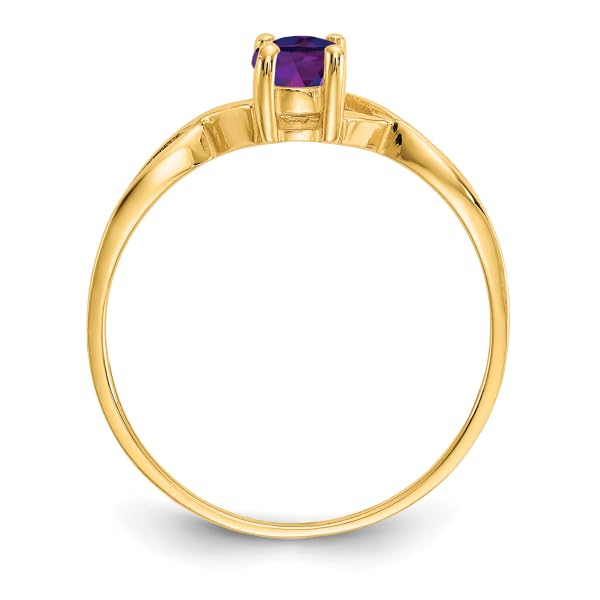 IceCarats 10K Yellow Gold Purple Amethyst Ring Gemstone Band February Birthstone Jewelry Size 7.00