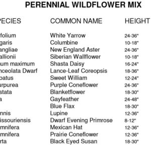 Non GMO Bulk All Perennial Wildflower Seed Mix (1/2 Lb) 188,000 Seeds