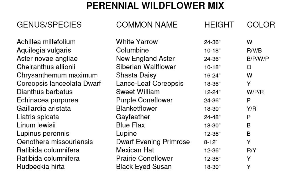 Non GMO Bulk All Perennial Wildflower Seed Mix (1/2 Lb) 188,000 Seeds