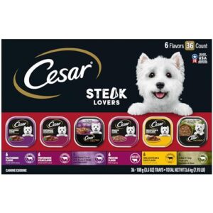 cesar adult wet dog food classic loaf in sauce steak lovers variety pack with real meat, 3.5 oz. easy peel trays, pack of 36