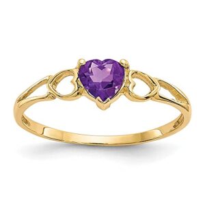 icecarats 10k yellow gold purple amethyst heart love ring gemstone band february birthstone jewelry size 7