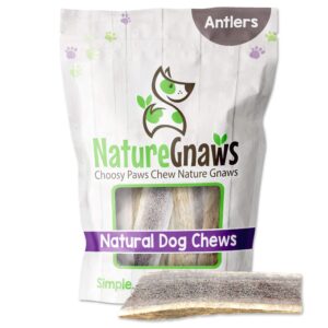 nature gnaws usa elk antlers for dogs 5-8" (3 count) - mix of split and whole pieces - long lasting for aggressive chewers - natural dog chew bones