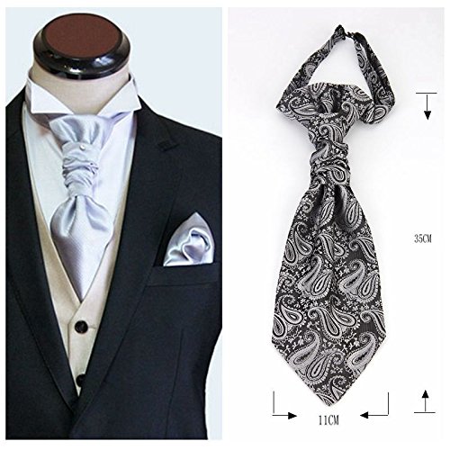 Hello Tie Pre-tied Microfiber Ascot Ruche Paisley Cravats Tie for Men (Black)