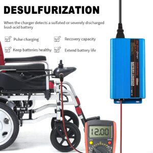 24V 5Amp Smart Automatic Battery Charger, Portable Battery Maintainer with XLR Connector for Car Boat Lawn Mower Marine Scooter Wheelchair Motorcycle eBike