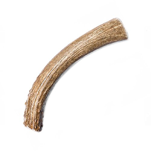 CZ Grain Large Grade A Deer Antlers for Dogs, Naturally Shed Deer Antlers, Organic Deer Antlers, All Natural Deer Antler Chews, Naturally Shed in The USA - Deer Antlers for Dogs (Size: Large)